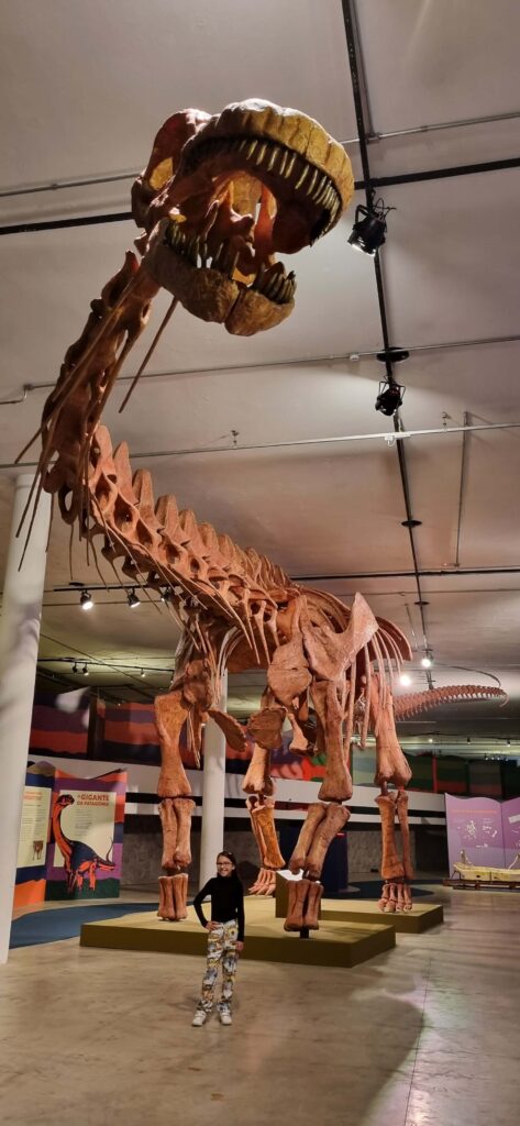 Exposição de dinossauros em SP tem a réplica do maior dinossauro do mundo