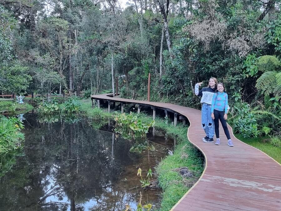 Bosque do Silêncio em Campos do Jordão