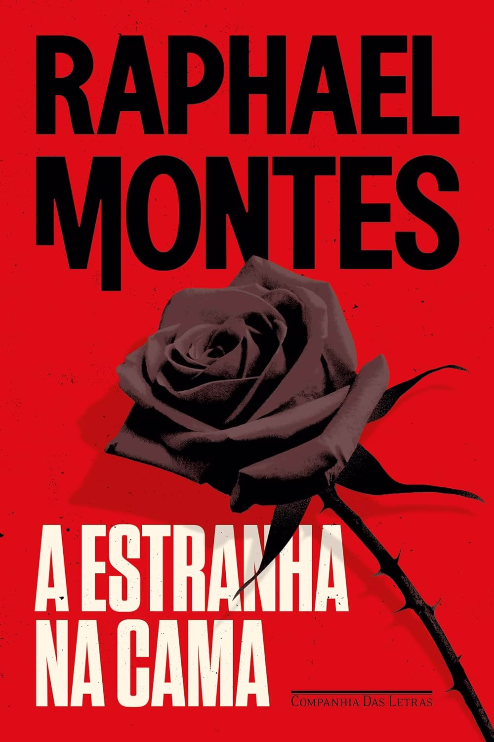 Estranha na cama de Raphael Montes