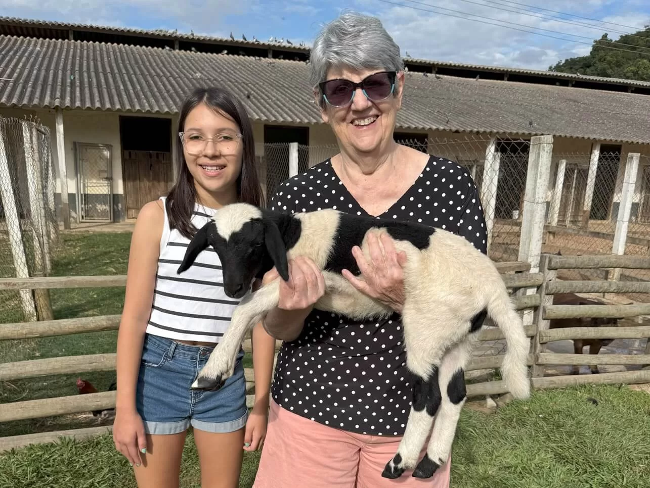Fazendinha é perfeita pra ter contato com vários animais