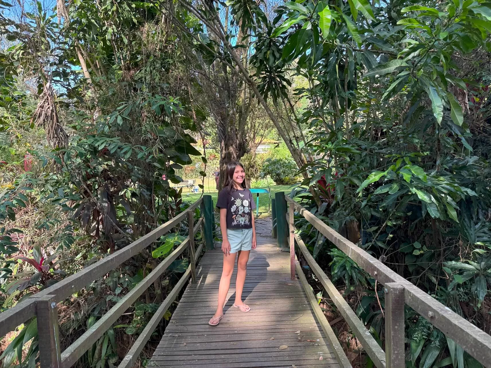 Ao caminhar no hotel, é possível ver diferentes tipos de espécies de plantas
