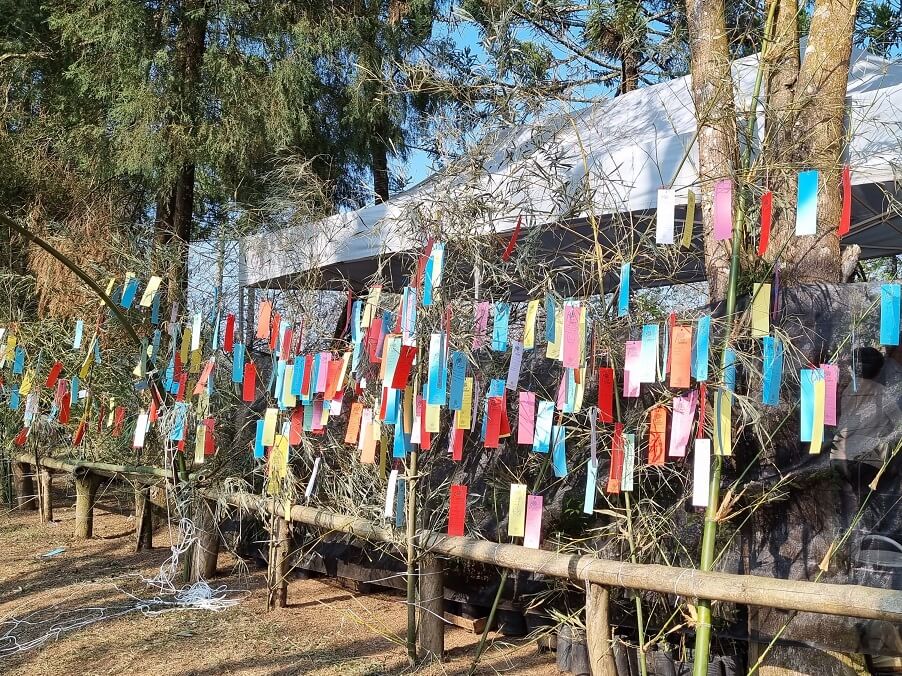 Público amarra seus pedidos na entrada do bosque