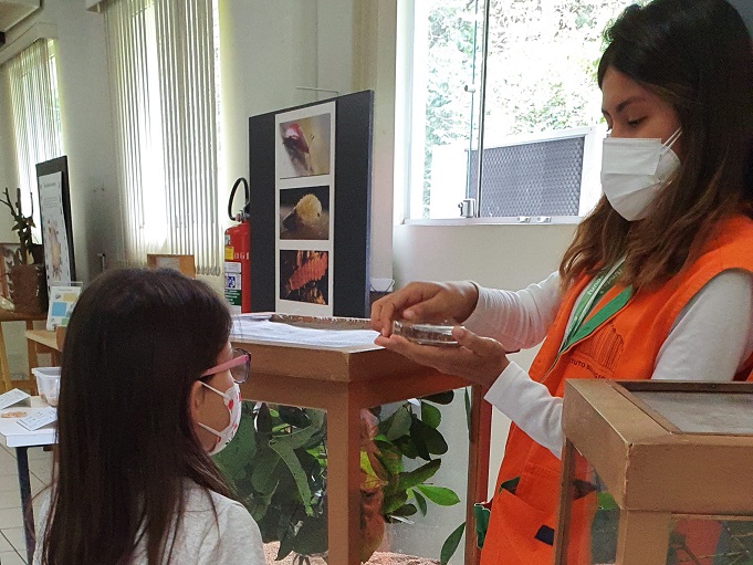 Planeta Inseto no Museu Biológico