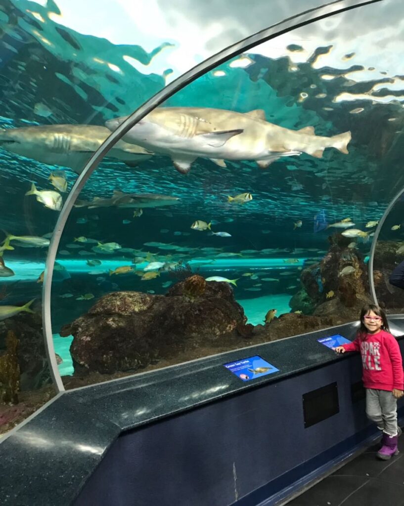 Ripley´s Aquarium of Canada