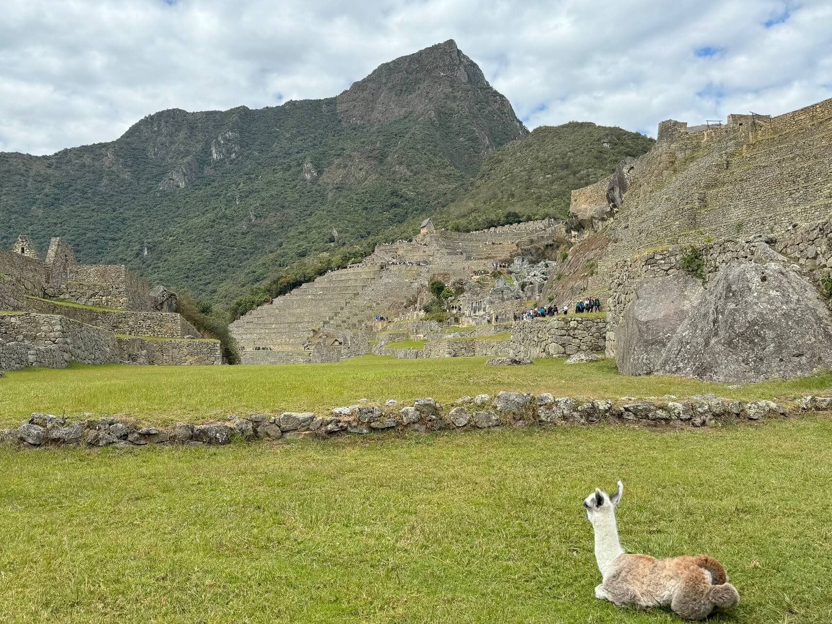 Paisagens encantam em Machu Picchu